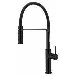 Ikon Hali Matte Black Lead Free Multi-Function Kitchen Mixer