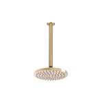 Bloom Shower Rose & Arm Brushed Brass Bloom Shower Rose & Arm Brushed Brass