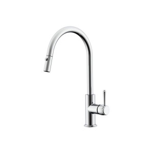 Eternal Chrome Pull Out Kitchen Mixer 