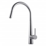 Pentro Chrome KT21.01
