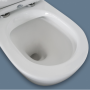 Alix Back-to-Wall Rimless Toilet Suite