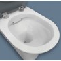 Delta Care Back-to-Wall Toilet Suite, Grey Seat