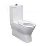 Delta Care Back-to-Wall Toilet Suite, White Seat, Raised Buttons