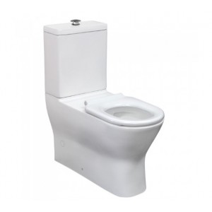 Delta Care Back-to-Wall Toilet Suite, White Seat, Raised Buttons