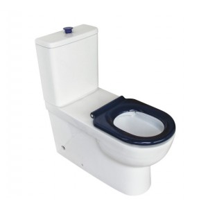 Stella Care Back-to-Wall Toilet Suite, Blue Seat