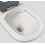 Stella Care Back-to-Wall Toilet Suite, Grey Seat