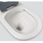 Stella Care Back-to-Wall Toilet Suite, Grey Seat Stella Care Back-to-Wall Toilet Suite, Grey Seat
