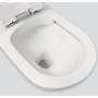 Stella Care Back-to-Wall Toilet Suite, White Seat