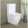 Empire Back-to-Wall Nano-Glaze Toilet Suite