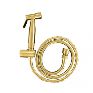 T460PVDG Round Brushed Gold Toilet Bidet