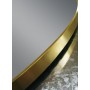 Brushed Gold Framed Oval Mirror 450*900 Brushed Gold Framed Oval Mirror 450*900