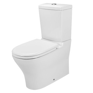 Ravelle Wall Faced Toilet